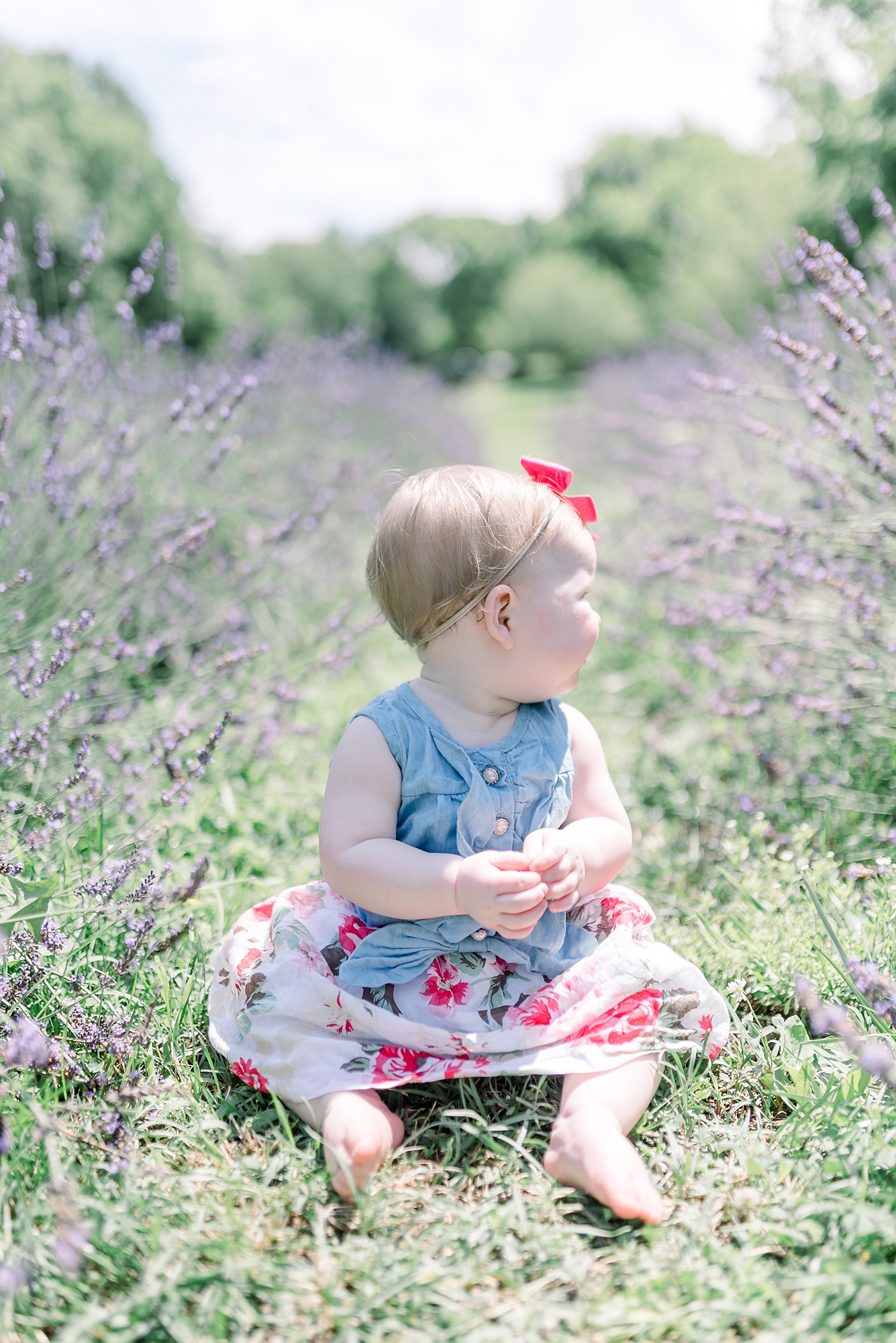 Little One year old girl laughing at the camera as she sits and looks at a lavender field around her