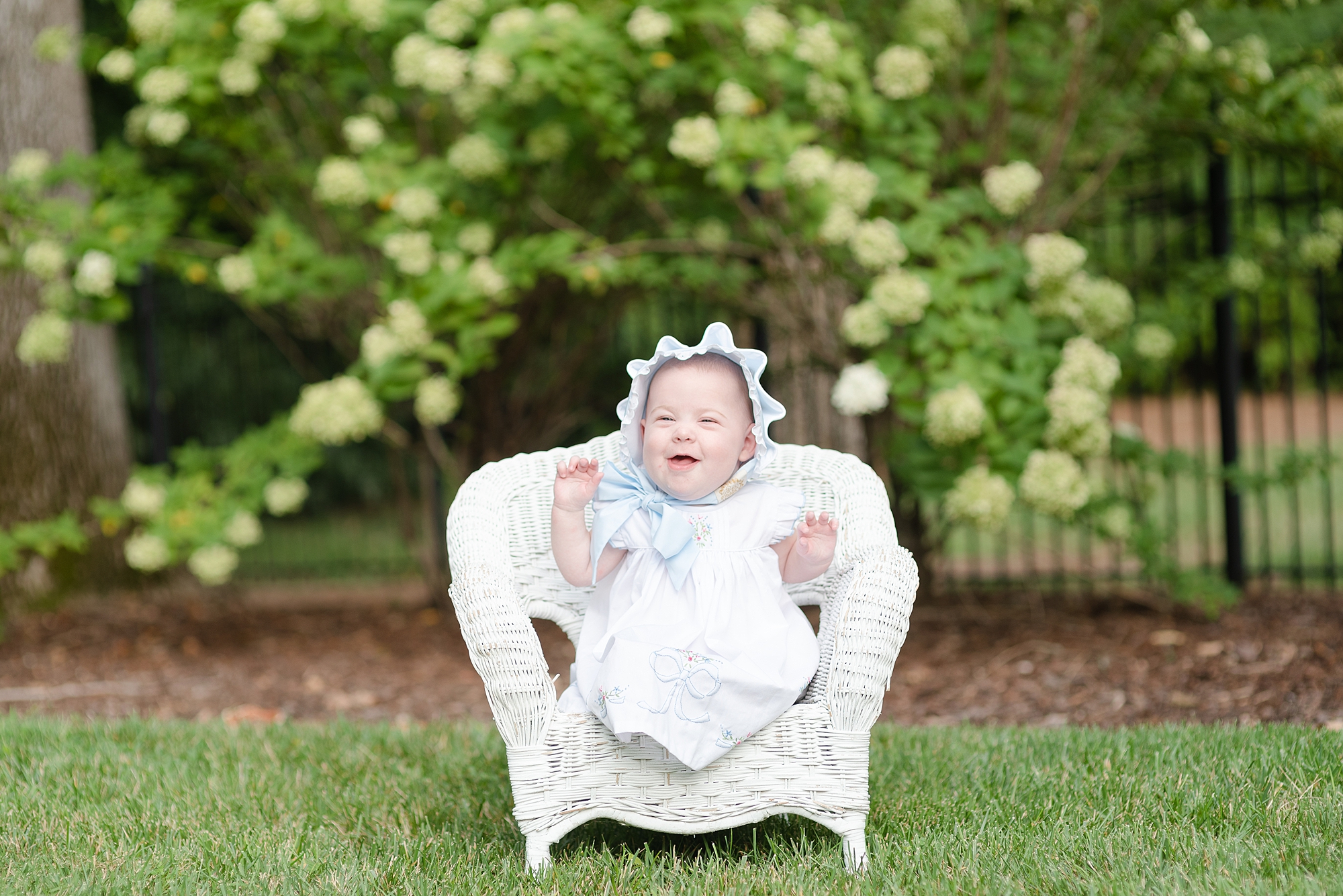 Baby girl wearing a blue bonnet is taking her 6 month portraits and is sitting on a white whicker chair against a floral backdrop in her grandparents backyard