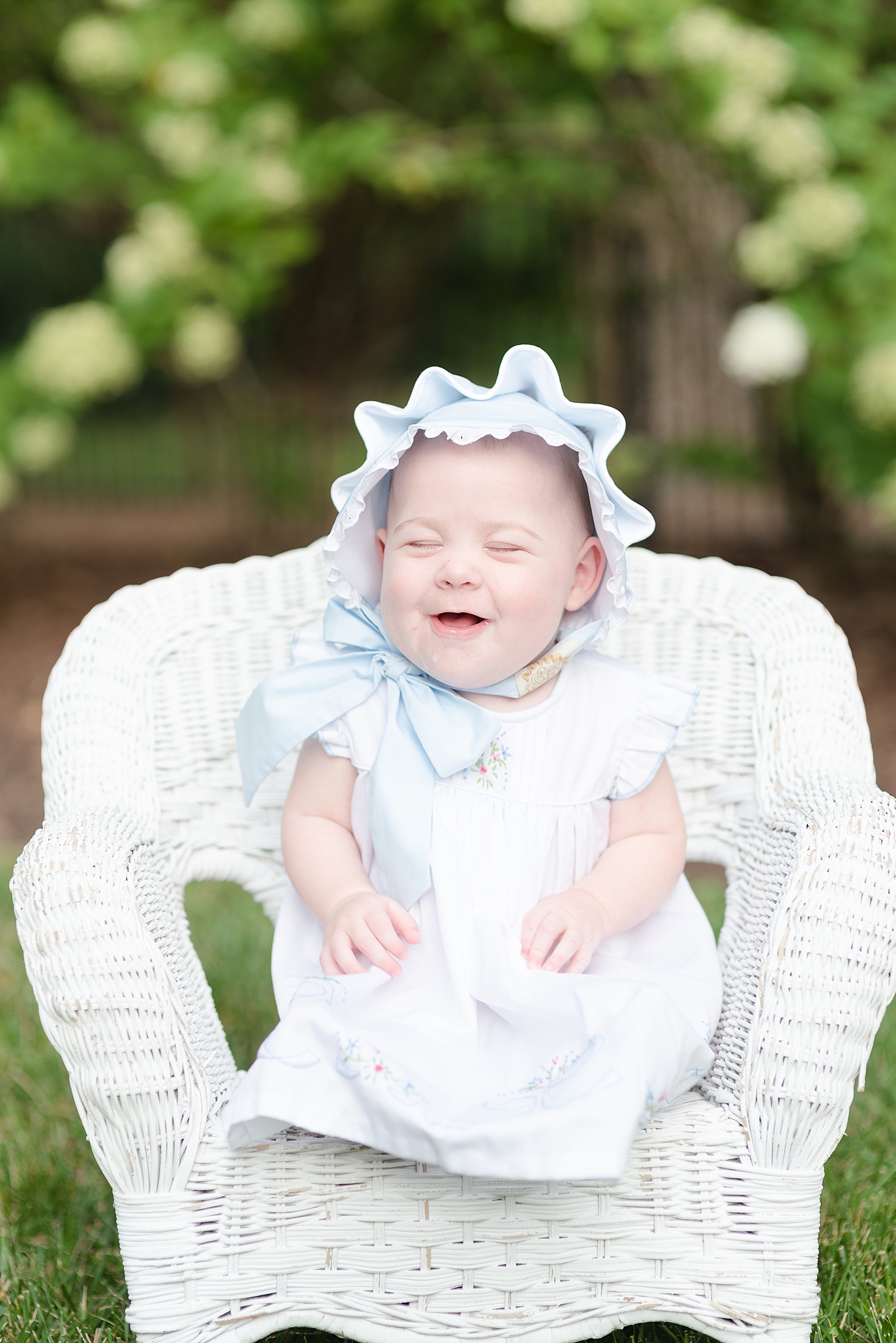 Baby girl wearing a blue bonnet is taking her 6 month portraits and is sitting on a white whicker chair against a floral backdrop in her grandparents backyard