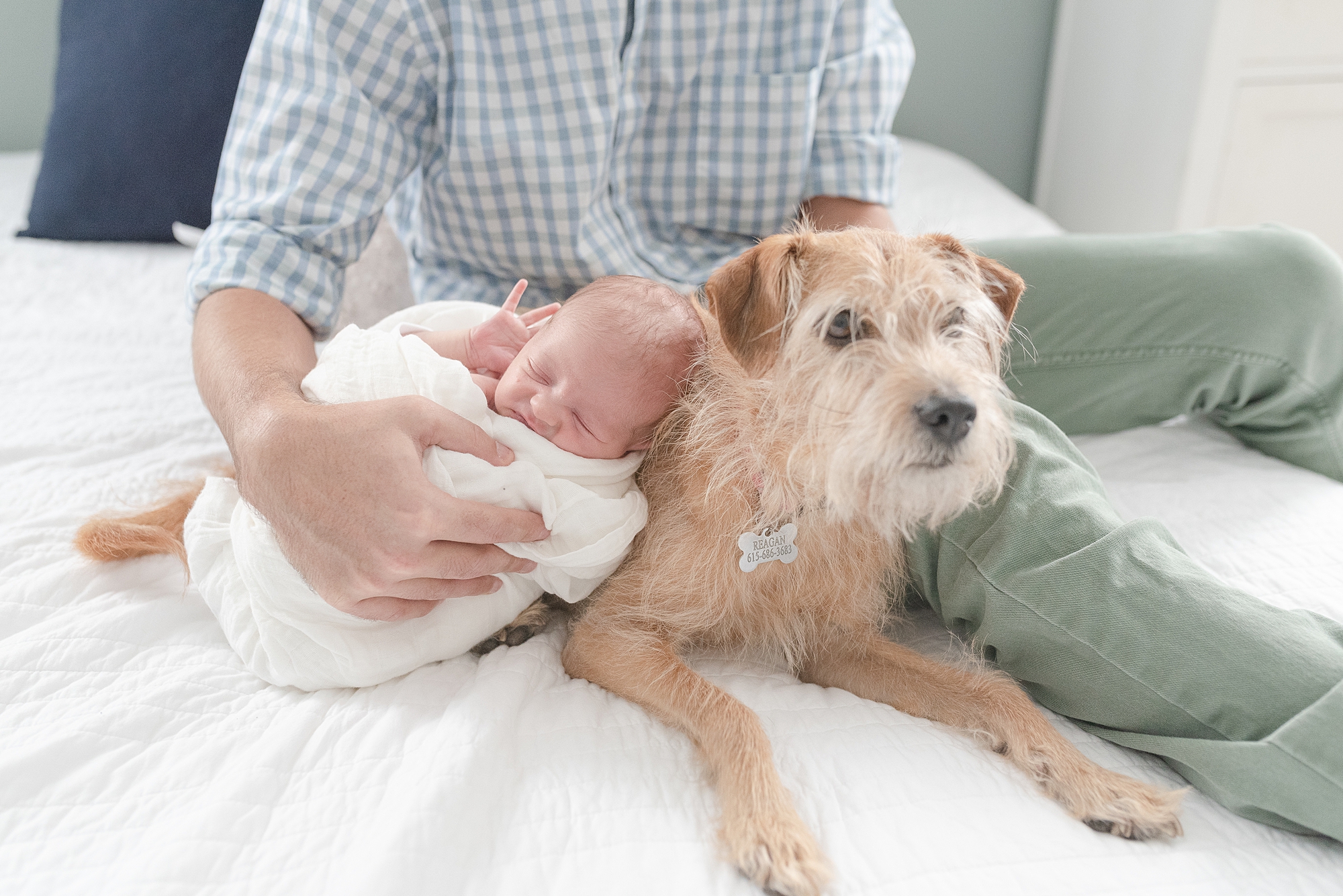 Dog is reluctantly sitting next to a newborn baby girl