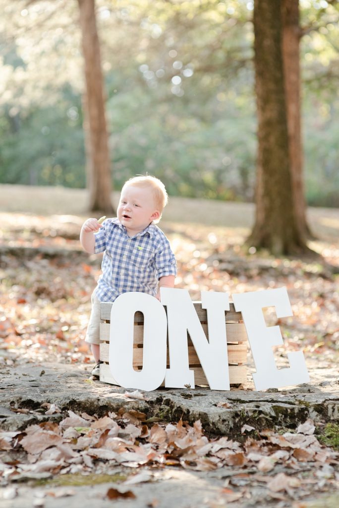 One Year Old Boy Standing for his ONE Year Old Portraits in Nashville in the woods by Dolly DeLong Photography