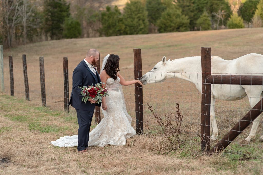 a bride is feeding a horse after wedding photos at a southern farm wedding