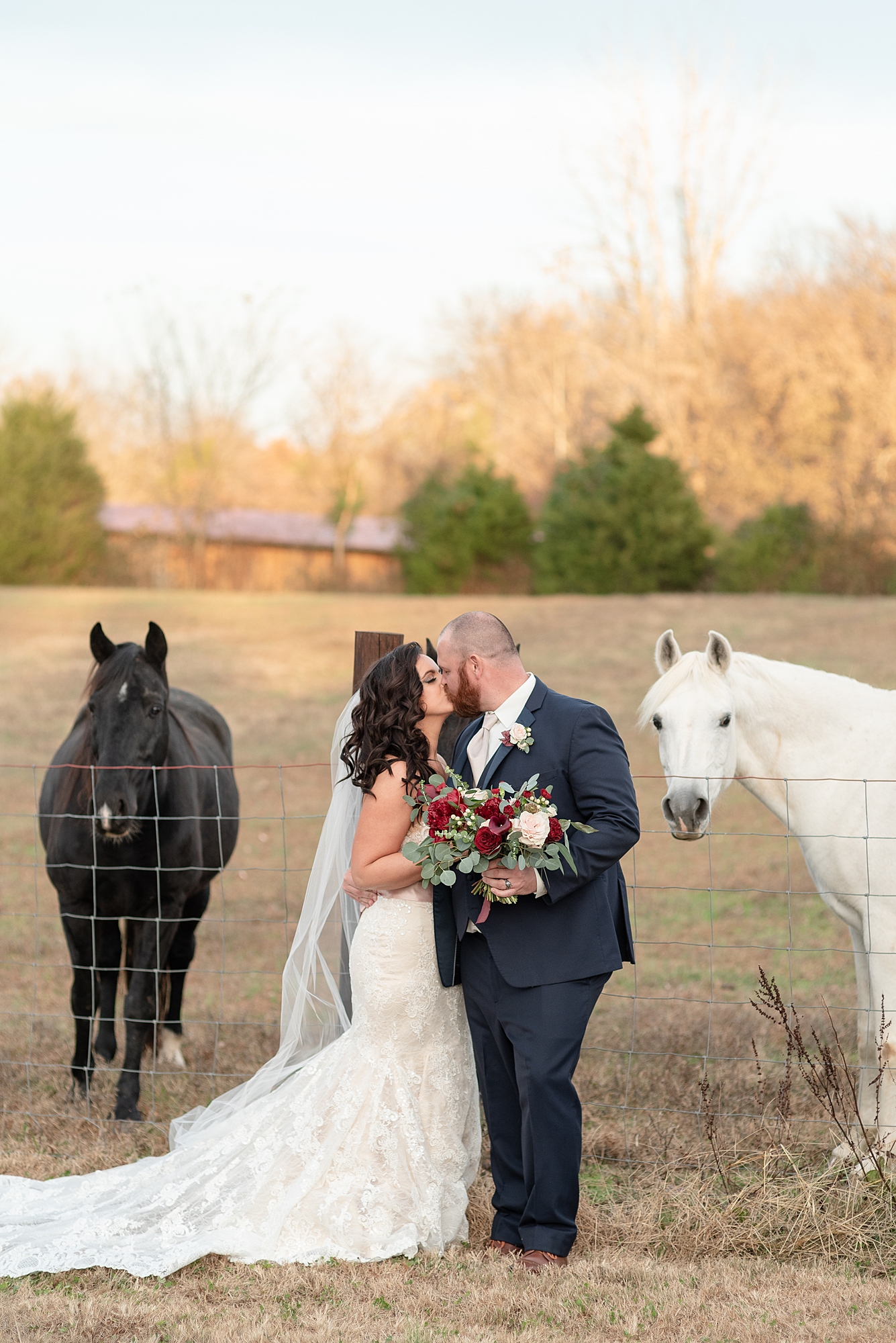 a bride and groom kiss outside at a farm with horses standing around them