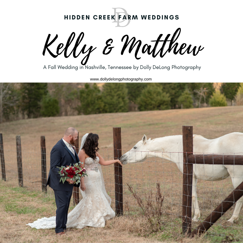 A photo of a bride and groom feeding a horse at hidden creek farm weddings by Dolly DeLong Photography 