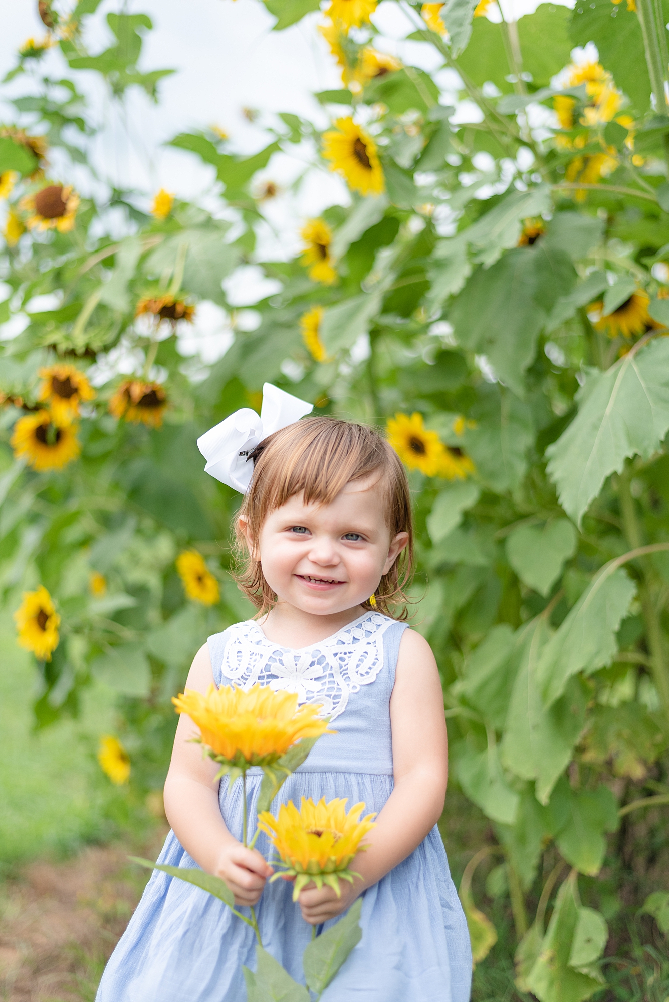little girl holding a sunflower smiling at camera for portraits in Nashville by Dolly DeLong