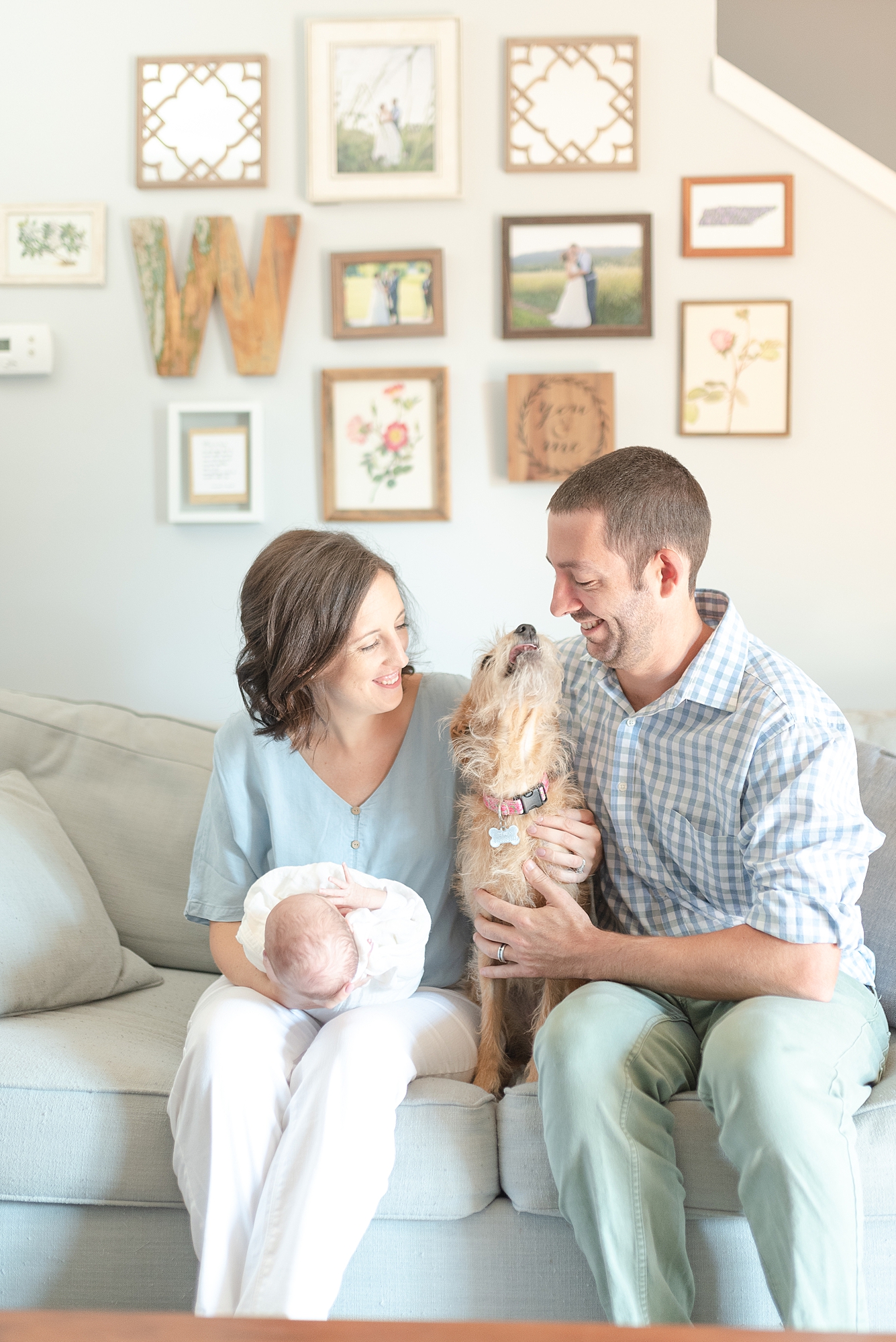 new born family photo session with family dog beside newborn girl