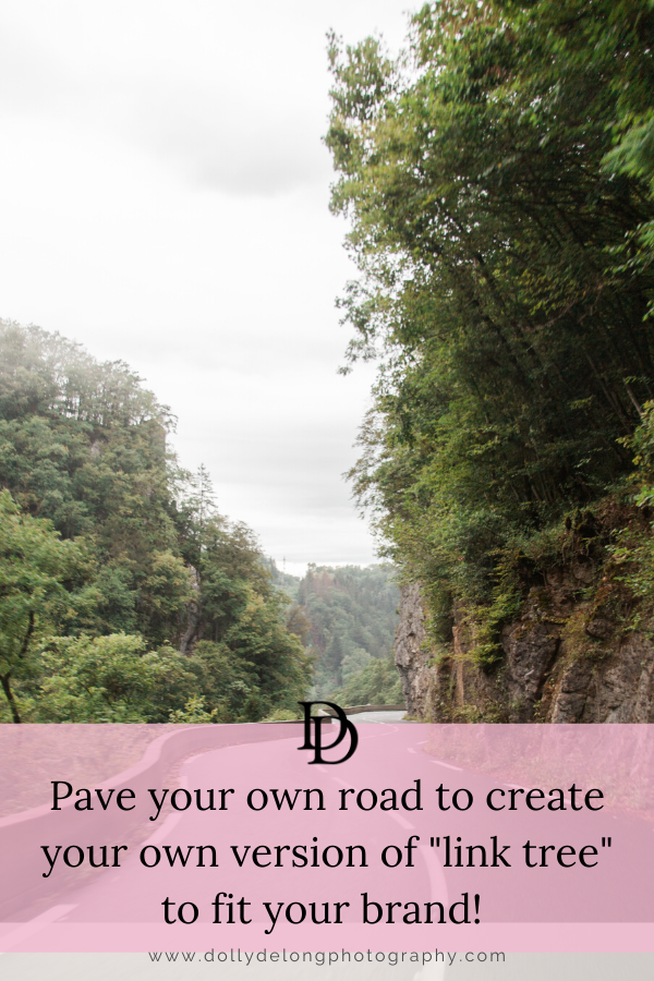 Image of a winding road by Nashville branding photographer Dolly DeLong Photography