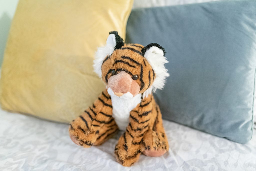 an image of a stuffed tiger at a newborn session in nashville by nashville family and newborn photographer Dolly DeLong Photography