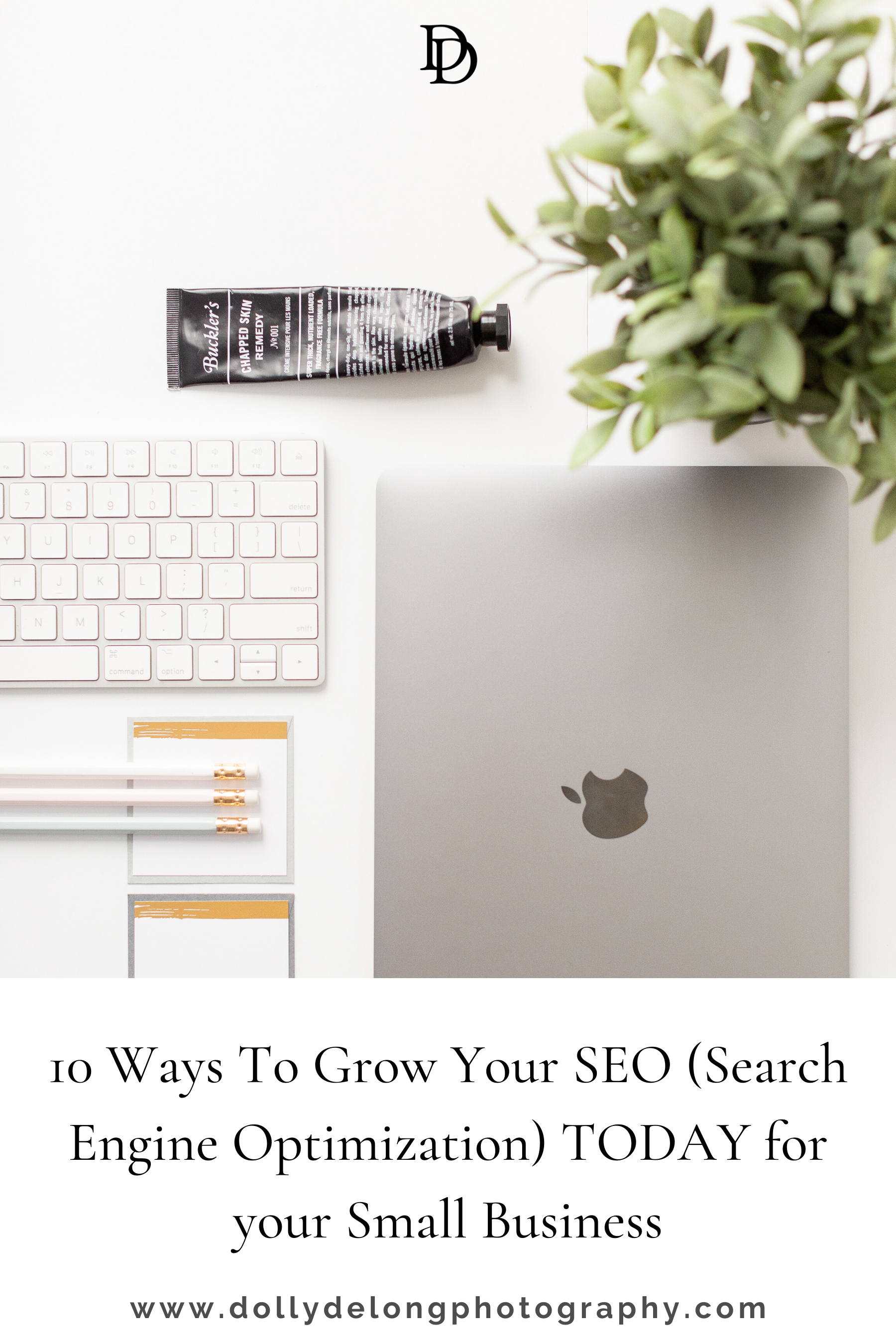 10 Ways To Grow Your SEO (Search Engine Optimization) TODAY for your Small Business by Nashville Branding Photographer Dolly DeLong Photography
