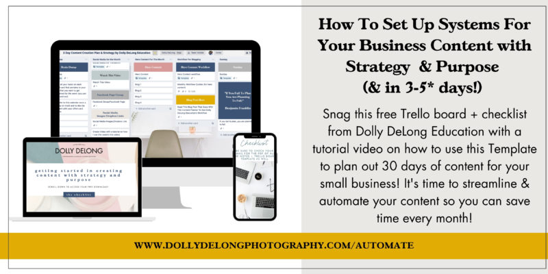 how to set up systems for your business content with strategy and purpose a free download by Dolly. DeLong Education