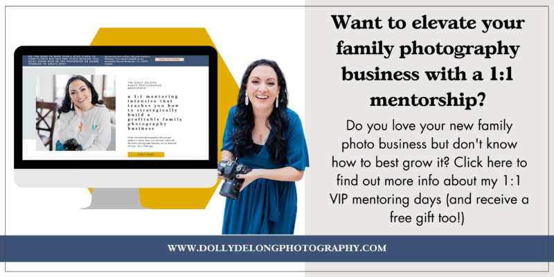 1:1 VIP Days for Family Photographers