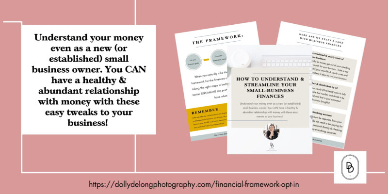 a. free pdf download by Dolly DeLong Education. all about how to set up systems of financial success for your small business