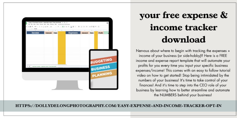 your free expense & income tracker download a picture of a computer showing the free download by Dolly DeLong Education