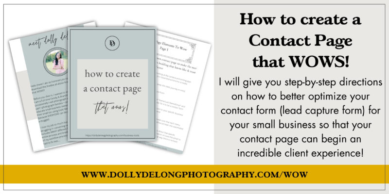 a blog banner by Dolly DeLong Education all about Dubsado's Lead Capture form and how to use it in your small business