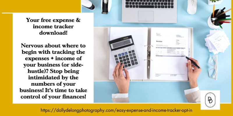  Income and Expense Tracker by Dolly DeLong Education a free opt in banner