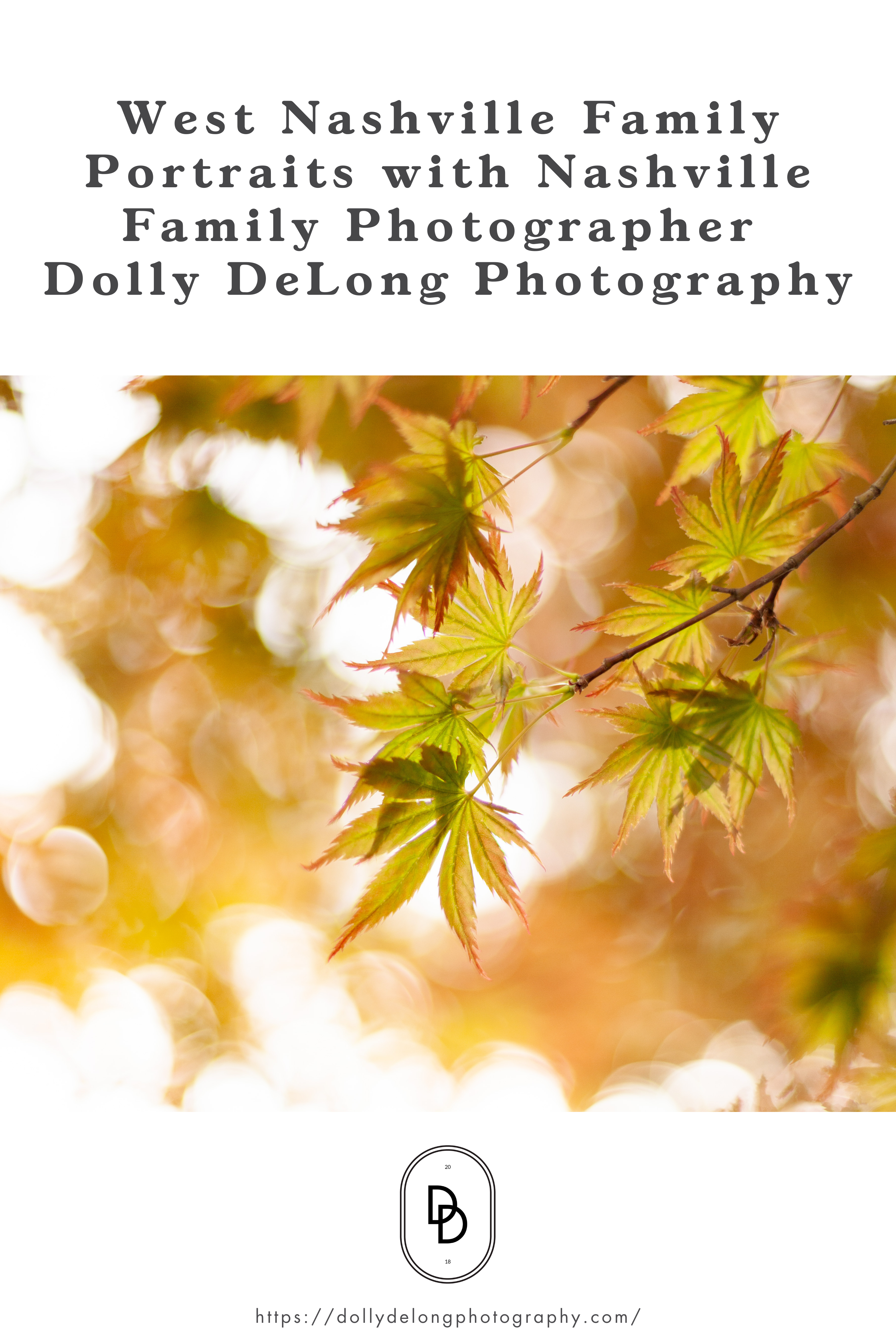 West Nashville Family Portraits with Nashville Family Photographer Dolly DeLong Photography