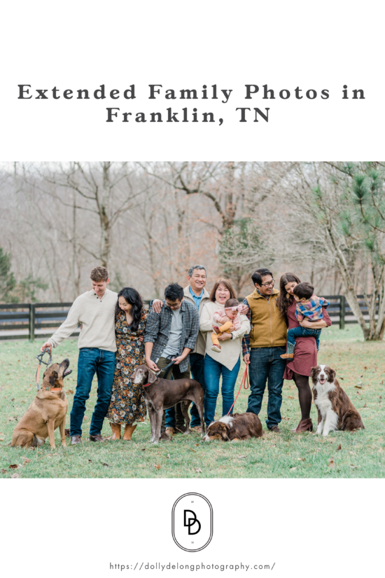 extended family photos in Franklin by Dolly Delong Education9