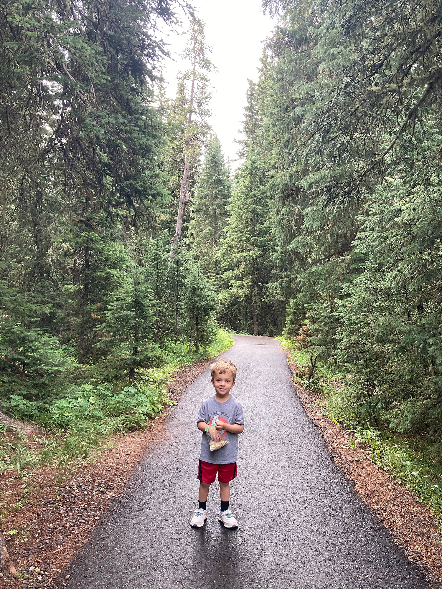 palisade_falls_easy_hiking_trails_for_kids_Montana