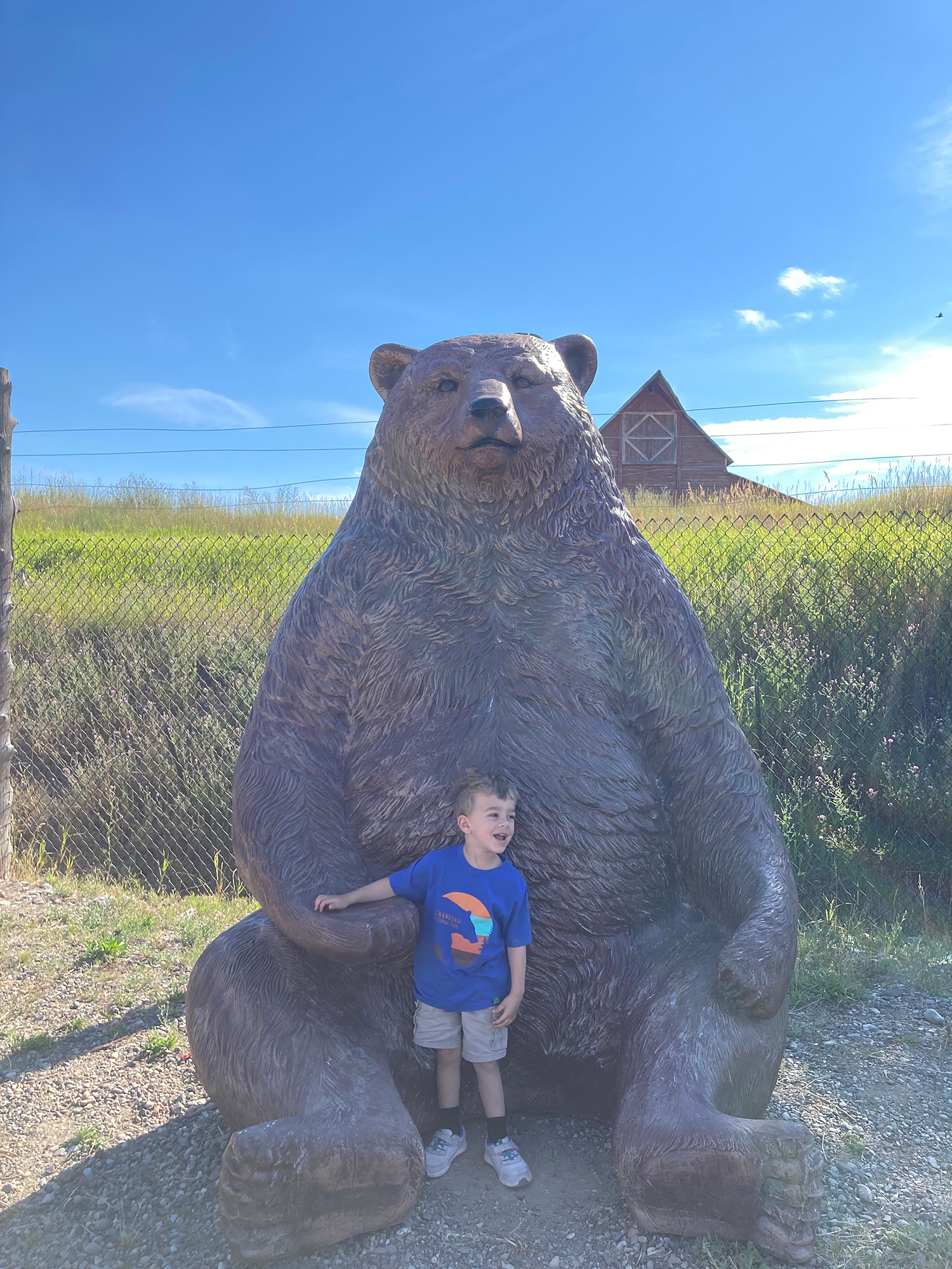 the_grizzly_bear_discovery_center