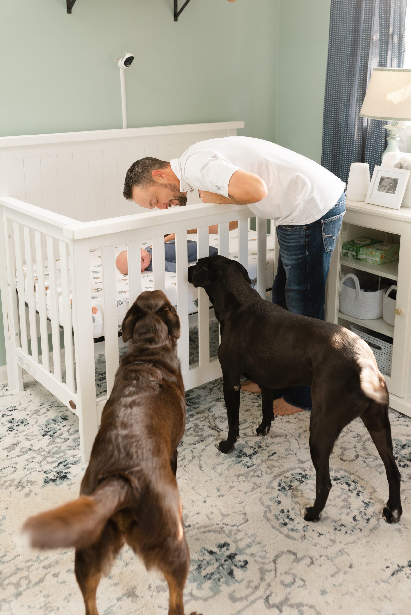 a_dad_looks_into_his_sons_crib_at_nashville_newborn_photography_session_and_two_pet_dogs_go_up_to_the_crib_too