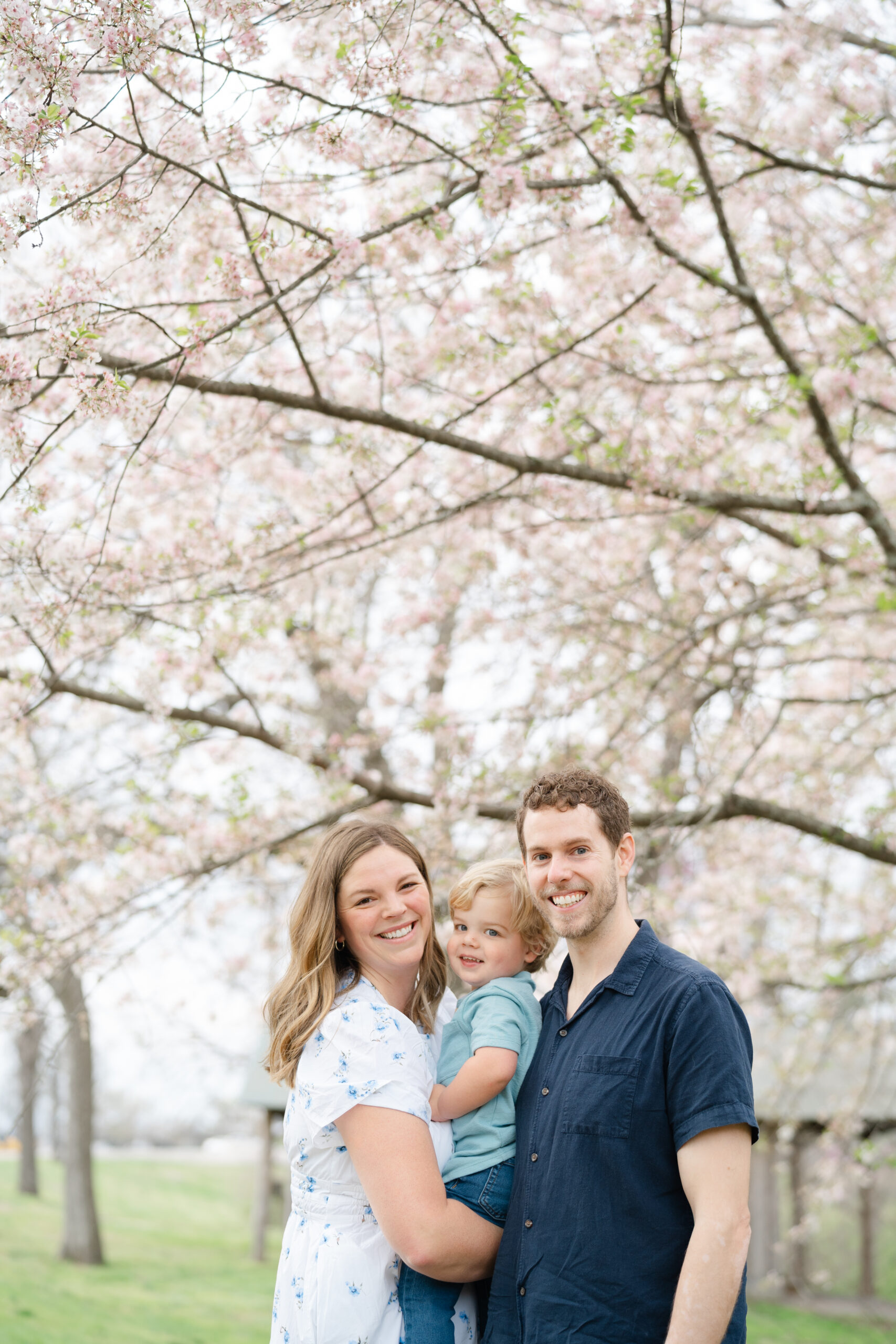 Couple posing with beautiful tree behind them