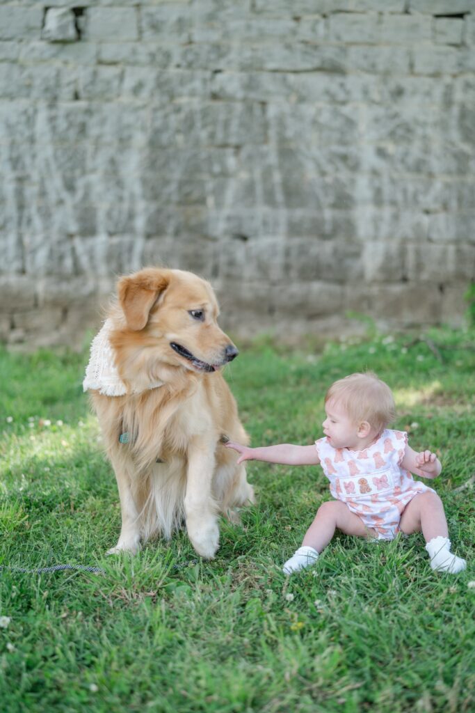 Baby and golden retriever sharing a moment on the lawn at Ravenswood Mansion in Nashville TN