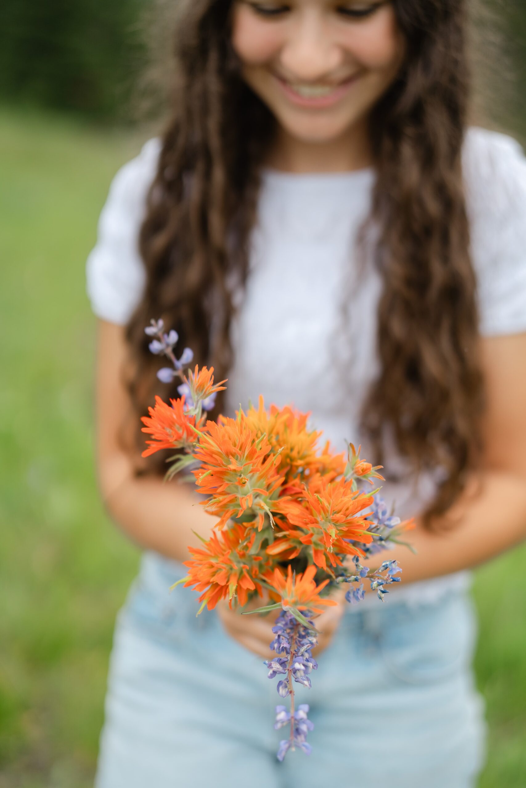 A detail shot of wild Indian paintbrush flowers picked during a Bozeman Montana senior session.