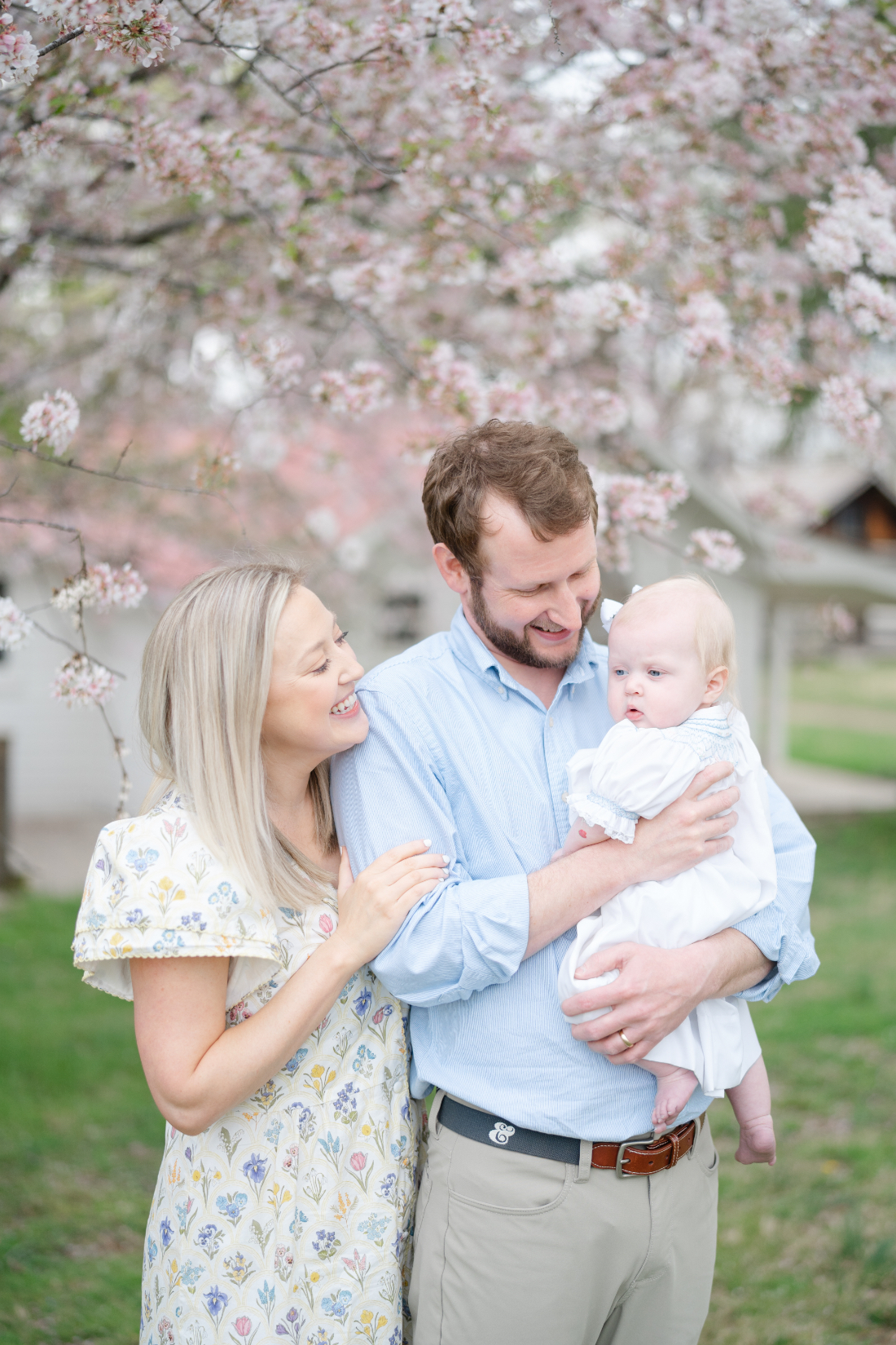 Family celebrating spring with their baby during mini sessions in Nashville beneath cherry blossoms.